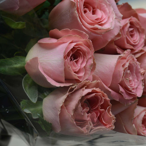 Mezcla de Flores