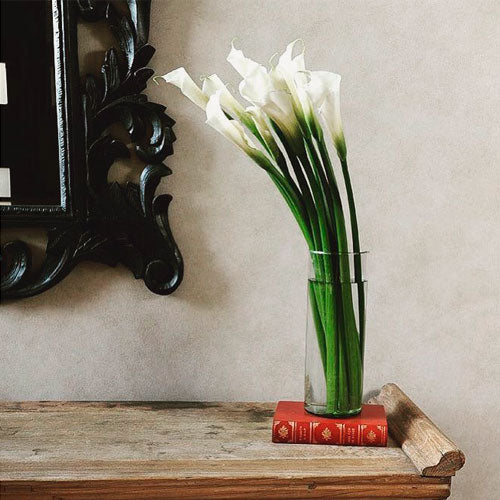 The Signature Bloom