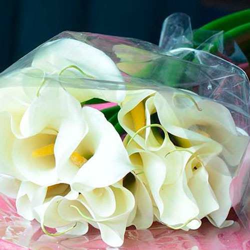 The Signature Bloom