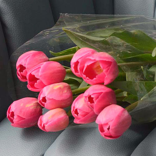 Tulipanes