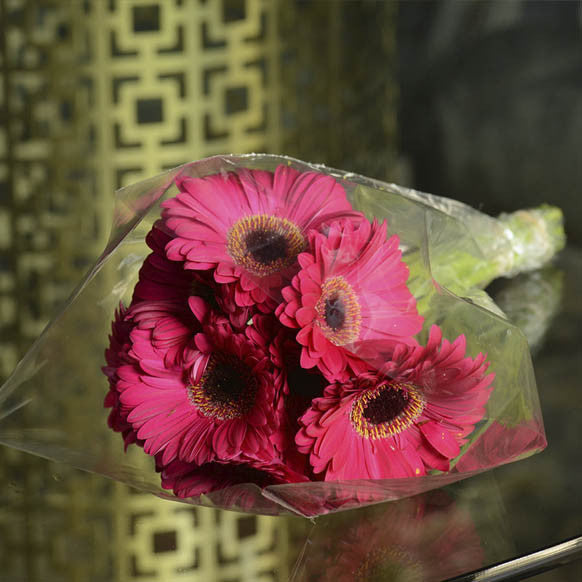 Gerberas