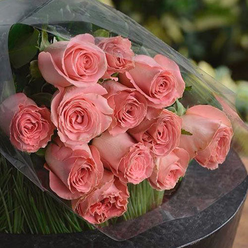 Rosas