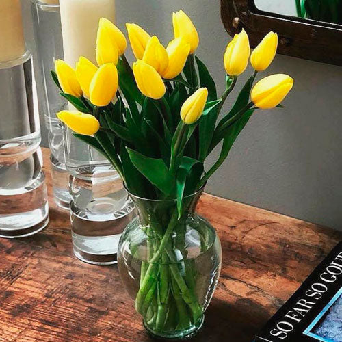 Tulipanes